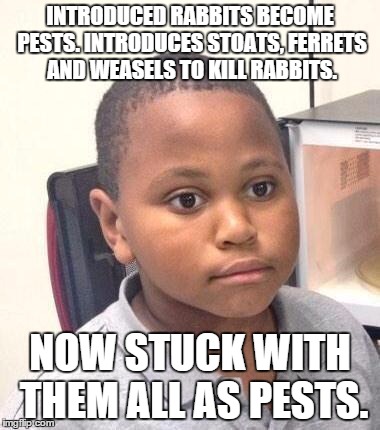 Minor Mistake Marvin Meme | INTRODUCED RABBITS BECOME PESTS. INTRODUCES STOATS, FERRETS AND WEASELS TO KILL RABBITS. NOW STUCK WITH THEM ALL AS PESTS. | image tagged in memes,minor mistake marvin,AdviceAnimals | made w/ Imgflip meme maker