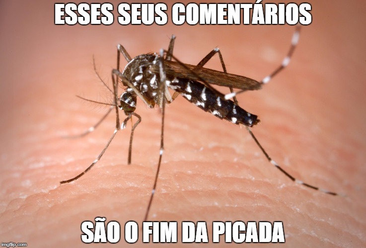 mosquito  | ESSES SEUS COMENTÁRIOS; SÃO O FIM DA PICADA | image tagged in mosquito | made w/ Imgflip meme maker