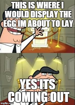 This Is Where I'd Put My Trophy If I Had One Meme | THIS IS WHERE I WOULD DISPLAY THE EGG IM ABOUT TO LAY; YES ITS COMING OUT | image tagged in memes,this is where i'd put my trophy if i had one | made w/ Imgflip meme maker