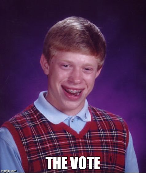 Bad Luck Brian Meme | THE VOTE | image tagged in memes,bad luck brian | made w/ Imgflip meme maker