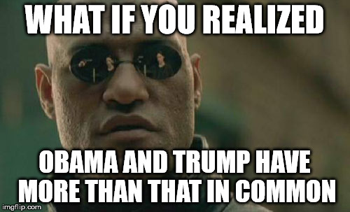 Matrix Morpheus Meme | WHAT IF YOU REALIZED OBAMA AND TRUMP HAVE MORE THAN THAT IN COMMON | image tagged in memes,matrix morpheus | made w/ Imgflip meme maker