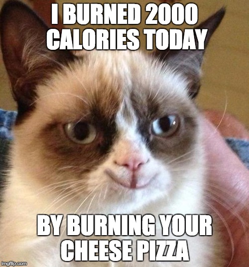 I love life | I BURNED 2000 CALORIES TODAY; BY BURNING YOUR CHEESE PIZZA | image tagged in grumpy cat | made w/ Imgflip meme maker