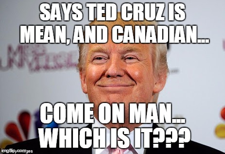 We all know its impossible to be both! |  SAYS TED CRUZ IS MEAN, AND CANADIAN... COME ON MAN... WHICH IS IT??? | image tagged in donald trump approves,memes | made w/ Imgflip meme maker