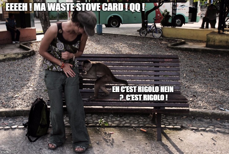EEEEH ! MA WASTE STOVE CARD ! QQ ! EH C'EST RIGOLO HEIN ?  C'EST RIGOLO ! | image tagged in thief monkey | made w/ Imgflip meme maker