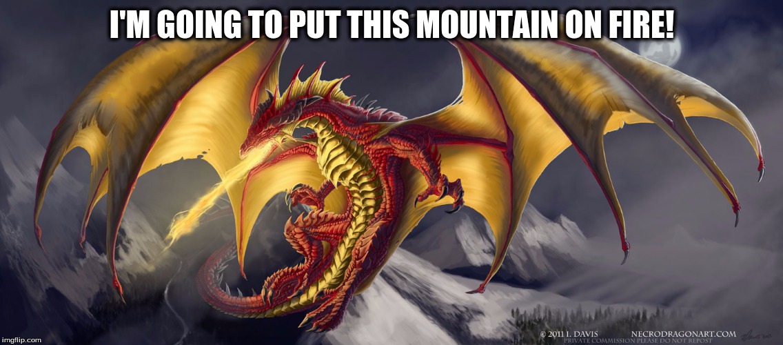 I'M GOING TO PUT THIS MOUNTAIN ON FIRE! | image tagged in dragons | made w/ Imgflip meme maker