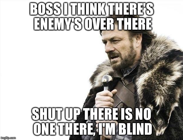Brace Yourselves X is Coming Meme | BOSS I THINK THERE'S ENEMY'S OVER THERE; SHUT UP THERE IS NO ONE THERE, I'M BLIND | image tagged in memes,brace yourselves x is coming | made w/ Imgflip meme maker