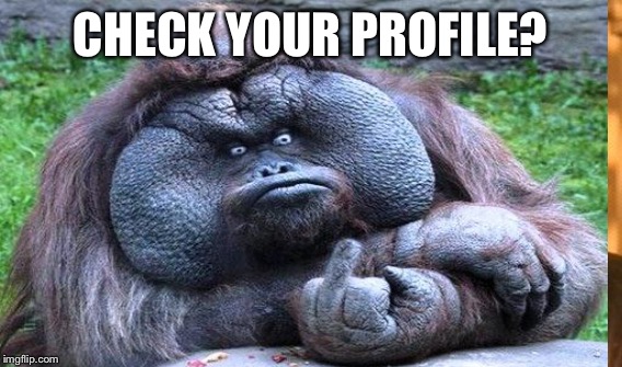 CHECK YOUR PROFILE? | made w/ Imgflip meme maker