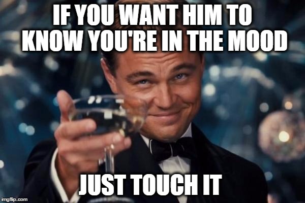 in the mood | IF YOU WANT HIM TO KNOW YOU'RE IN THE MOOD; JUST TOUCH IT | image tagged in memes,leonardo dicaprio cheers | made w/ Imgflip meme maker