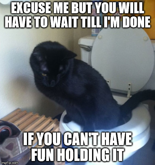You might just have to hold for awhile longer   | EXCUSE ME BUT YOU WILL HAVE TO WAIT TILL I'M DONE; IF YOU CAN'T HAVE FUN HOLDING IT | image tagged in cat toliet,memes | made w/ Imgflip meme maker