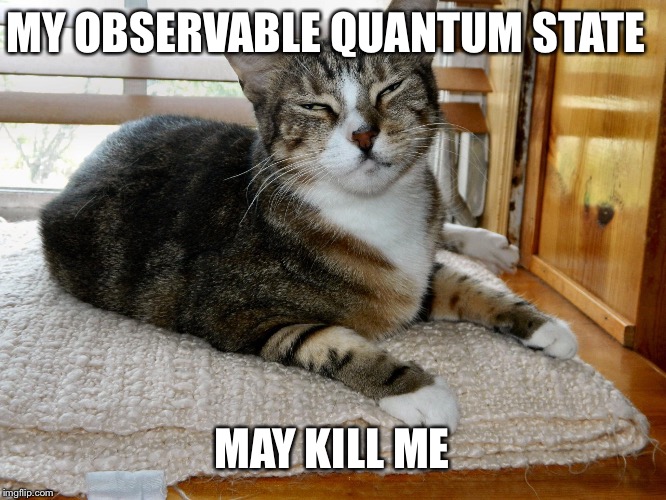 If I'm in a box DON'T OPEN IT! | MY OBSERVABLE QUANTUM STATE; MAY KILL ME | image tagged in schrodinger,memes | made w/ Imgflip meme maker