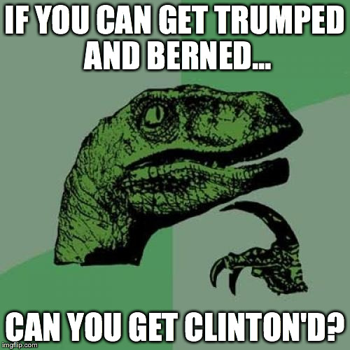 Philosoraptor | IF YOU CAN GET TRUMPED AND BERNED... CAN YOU GET CLINTON'D? | image tagged in memes,philosoraptor | made w/ Imgflip meme maker