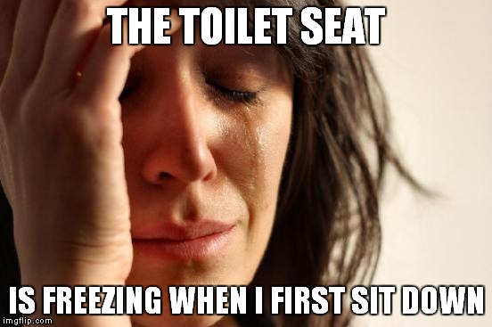 First World Problems | THE TOILET SEAT; IS FREEZING WHEN I FIRST SIT DOWN | image tagged in memes,first world problems | made w/ Imgflip meme maker