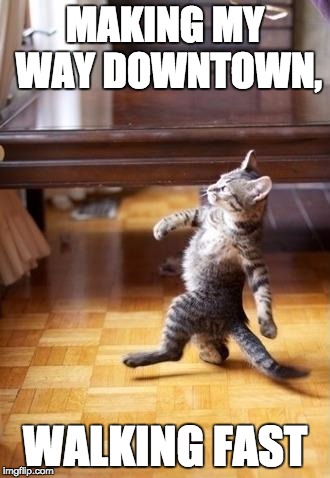 Downtown Cat | MAKING MY WAY DOWNTOWN, WALKING FAST | image tagged in memes,cool cat stroll,walking fast,stroll,confident,funny | made w/ Imgflip meme maker