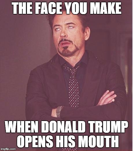 Face You Make Robert Downey Jr | THE FACE YOU MAKE; WHEN DONALD TRUMP OPENS HIS MOUTH | image tagged in memes,face you make robert downey jr | made w/ Imgflip meme maker