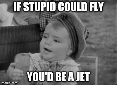 IF STUPID COULD FLY; YOU'D BE A JET | image tagged in fly | made w/ Imgflip meme maker