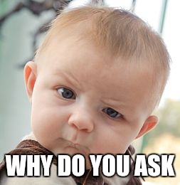 Skeptical Baby Meme | WHY DO YOU ASK | image tagged in memes,skeptical baby | made w/ Imgflip meme maker