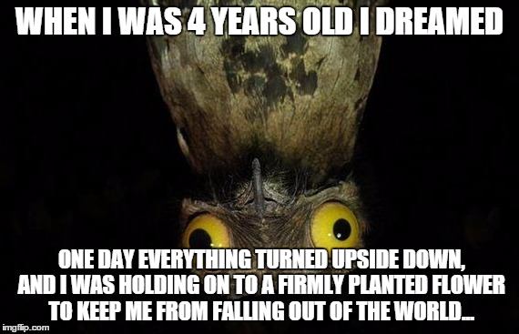 weird, but a true story about only one of my weird dreams... | WHEN I WAS 4 YEARS OLD I DREAMED; ONE DAY EVERYTHING TURNED UPSIDE DOWN, AND I WAS HOLDING ON TO A FIRMLY PLANTED FLOWER TO KEEP ME FROM FALLING OUT OF THE WORLD... | image tagged in memes,weird stuff i do potoo | made w/ Imgflip meme maker