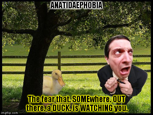 ANATIDAEPHOBIA | ANATIDAEPHOBIA; The fear that. SOMEwhere. OUT there. a DUCK. is WATCHING you. | image tagged in fear,phobia,neurosis | made w/ Imgflip meme maker