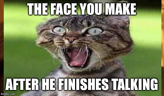 THE FACE YOU MAKE AFTER HE FINISHES TALKING | made w/ Imgflip meme maker