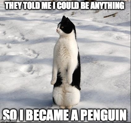 cat-penguin | THEY TOLD ME I COULD BE ANYTHING; SO I BECAME A PENGUIN | image tagged in cat-penguin | made w/ Imgflip meme maker