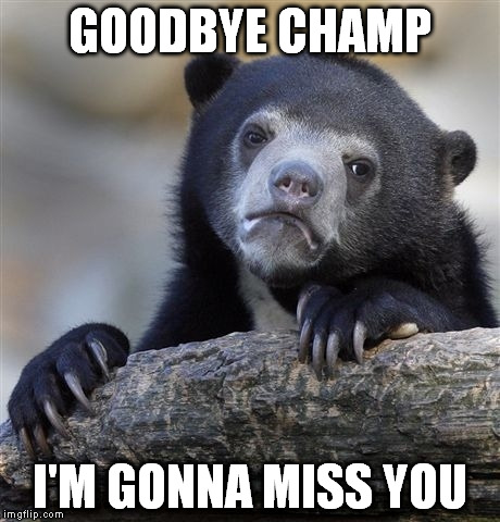 Confession Bear Meme | GOODBYE CHAMP I'M GONNA MISS YOU | image tagged in memes,confession bear | made w/ Imgflip meme maker