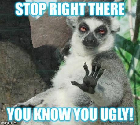 Stoner Lemur | STOP RIGHT THERE; YOU KNOW YOU UGLY! | image tagged in memes,stoner lemur | made w/ Imgflip meme maker
