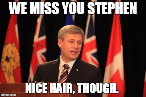 Stephen Harper Podium | WE MISS YOU STEPHEN; NICE HAIR, THOUGH. | image tagged in memes,stephen harper podium | made w/ Imgflip meme maker
