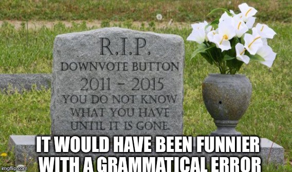 IT WOULD HAVE BEEN FUNNIER WITH A GRAMMATICAL ERROR | made w/ Imgflip meme maker