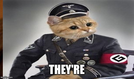 THEY'RE | made w/ Imgflip meme maker