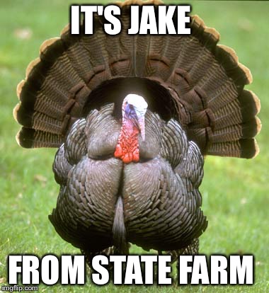 Turkey | IT'S JAKE; FROM STATE FARM | image tagged in memes,turkey | made w/ Imgflip meme maker