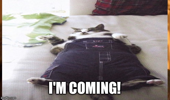 I'M COMING! | made w/ Imgflip meme maker