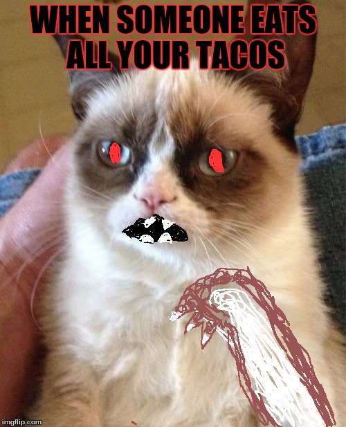 Grumpy Cat Meme | WHEN SOMEONE EATS ALL YOUR TACOS | image tagged in memes,grumpy cat | made w/ Imgflip meme maker