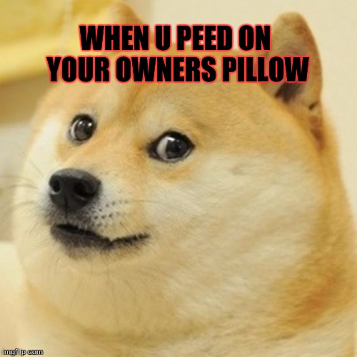 Doge | WHEN U PEED ON YOUR OWNERS PILLOW | image tagged in memes,doge | made w/ Imgflip meme maker