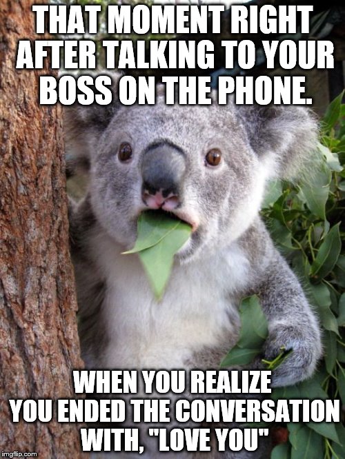 Oops | THAT MOMENT RIGHT AFTER TALKING TO YOUR BOSS ON THE PHONE. WHEN YOU REALIZE YOU ENDED THE CONVERSATION WITH, "LOVE YOU" | image tagged in shocked koala,boss | made w/ Imgflip meme maker