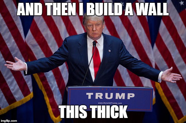 Zombies tried to invade my country by biting through my border fence | AND THEN I BUILD A WALL; THIS THICK | image tagged in donald trump,memes,wall | made w/ Imgflip meme maker
