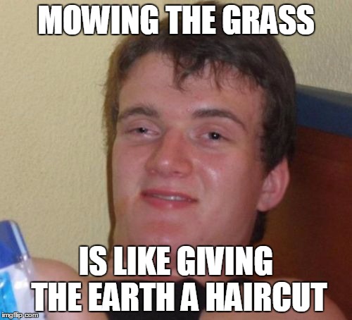 10 Guy Meme | MOWING THE GRASS; IS LIKE GIVING THE EARTH A HAIRCUT | image tagged in memes,10 guy | made w/ Imgflip meme maker