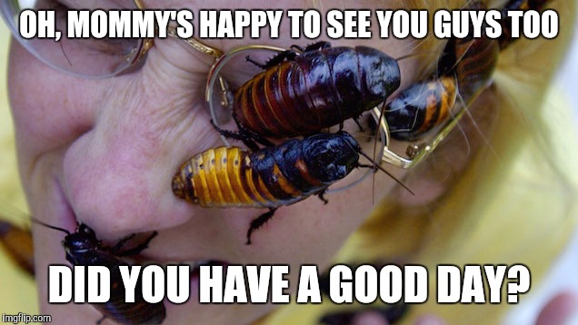 OH, MOMMY'S HAPPY TO SEE YOU GUYS TOO DID YOU HAVE A GOOD DAY? | made w/ Imgflip meme maker