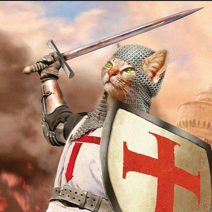 High Quality Crusader Cat Blank Meme Template