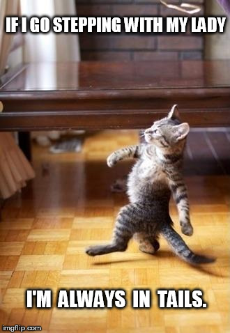 Cool Cat Stroll | IF I GO STEPPING WITH MY LADY; I'M  ALWAYS  IN  TAILS. | image tagged in memes,cool cat stroll | made w/ Imgflip meme maker