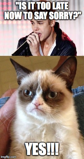 Definitely too late... | "IS IT TOO LATE NOW TO SAY SORRY?"; YES!!! | image tagged in justin bieber,too late,grumpy cat,sorry | made w/ Imgflip meme maker
