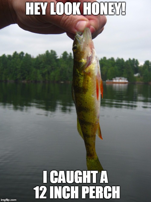 HEY LOOK HONEY! I CAUGHT A 12 INCH PERCH | image tagged in camping | made w/ Imgflip meme maker