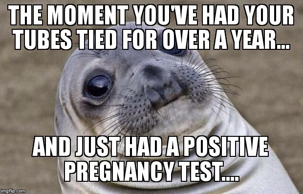 extremely extra awkward moment..... | THE MOMENT YOU'VE HAD YOUR TUBES TIED FOR OVER A YEAR... AND JUST HAD A POSITIVE PREGNANCY TEST.... | image tagged in memes,awkward moment sealion | made w/ Imgflip meme maker