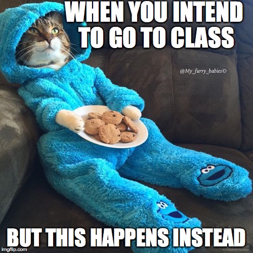Cat in PJS | WHEN YOU INTEND TO GO TO CLASS; BUT THIS HAPPENS INSTEAD | image tagged in cat in pjs | made w/ Imgflip meme maker