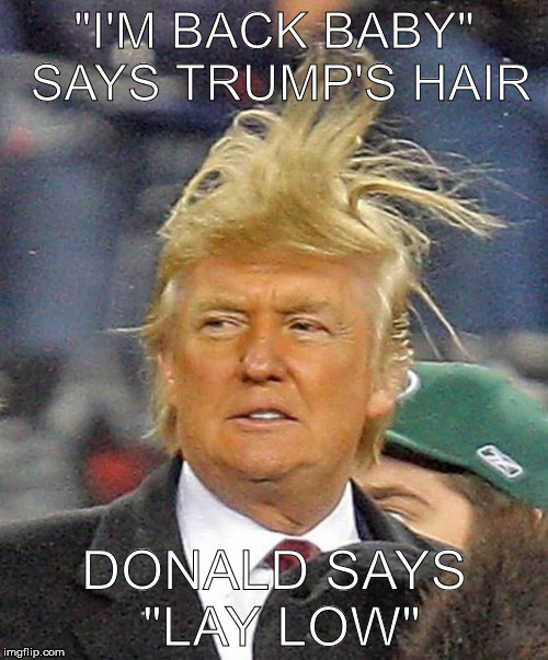 somethings not right here | "I'M BACK BABY" SAYS TRUMP'S HAIR; DONALD SAYS "LAY LOW" | image tagged in donald trumph hair | made w/ Imgflip meme maker