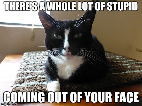 bullshit cat | THERE'S A WHOLE LOT OF STUPID; COMING OUT OF YOUR FACE | image tagged in bullshit,cat,demeaning,feline,i don't believe | made w/ Imgflip meme maker