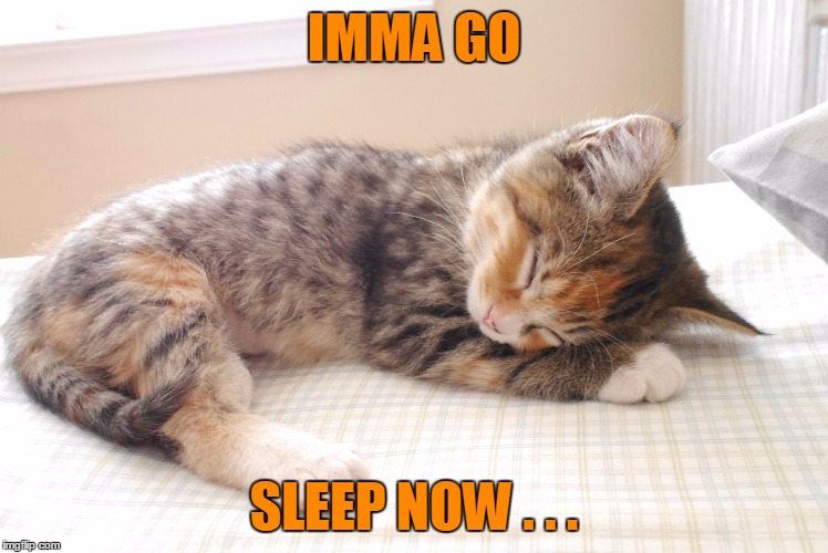 IMMA GO SLEEP NOW . . . | made w/ Imgflip meme maker