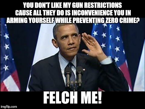 Obama No Listen | YOU DON'T LIKE MY GUN RESTRICTIONS CAUSE ALL THEY DO IS INCONVENIENCE YOU IN ARMING YOURSELF WHILE PREVENTING ZERO CRIME? FELCH ME! | image tagged in memes,obama no listen | made w/ Imgflip meme maker