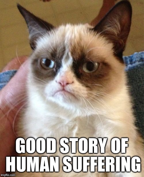 Grumpy Cat Meme | GOOD STORY OF HUMAN SUFFERING | image tagged in memes,grumpy cat | made w/ Imgflip meme maker