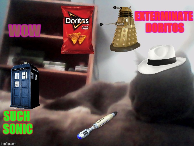 Cat Who | WOW; EXTERMINATE DORITOS; SUCH SONIC | image tagged in doctor who | made w/ Imgflip meme maker