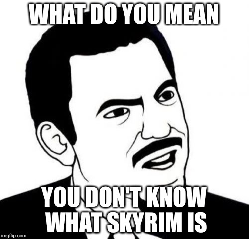 Seriously Face Meme | WHAT DO YOU MEAN; YOU DON'T KNOW WHAT SKYRIM IS | image tagged in memes,seriously face | made w/ Imgflip meme maker